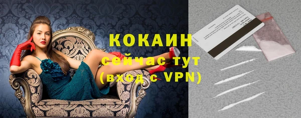 крисы Богданович