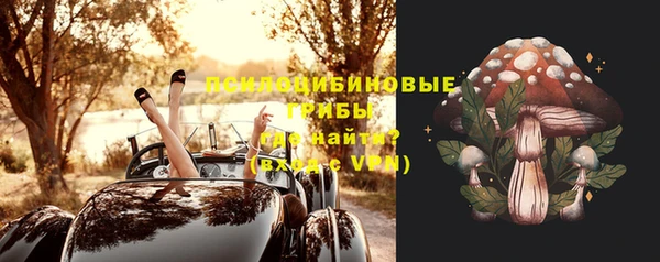 ГАЛЛЮЦИНОГЕННЫЕ ГРИБЫ Архангельск