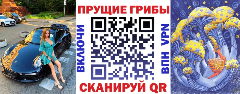 купить закладку Бологое Галлюциногенные грибы Cubensis